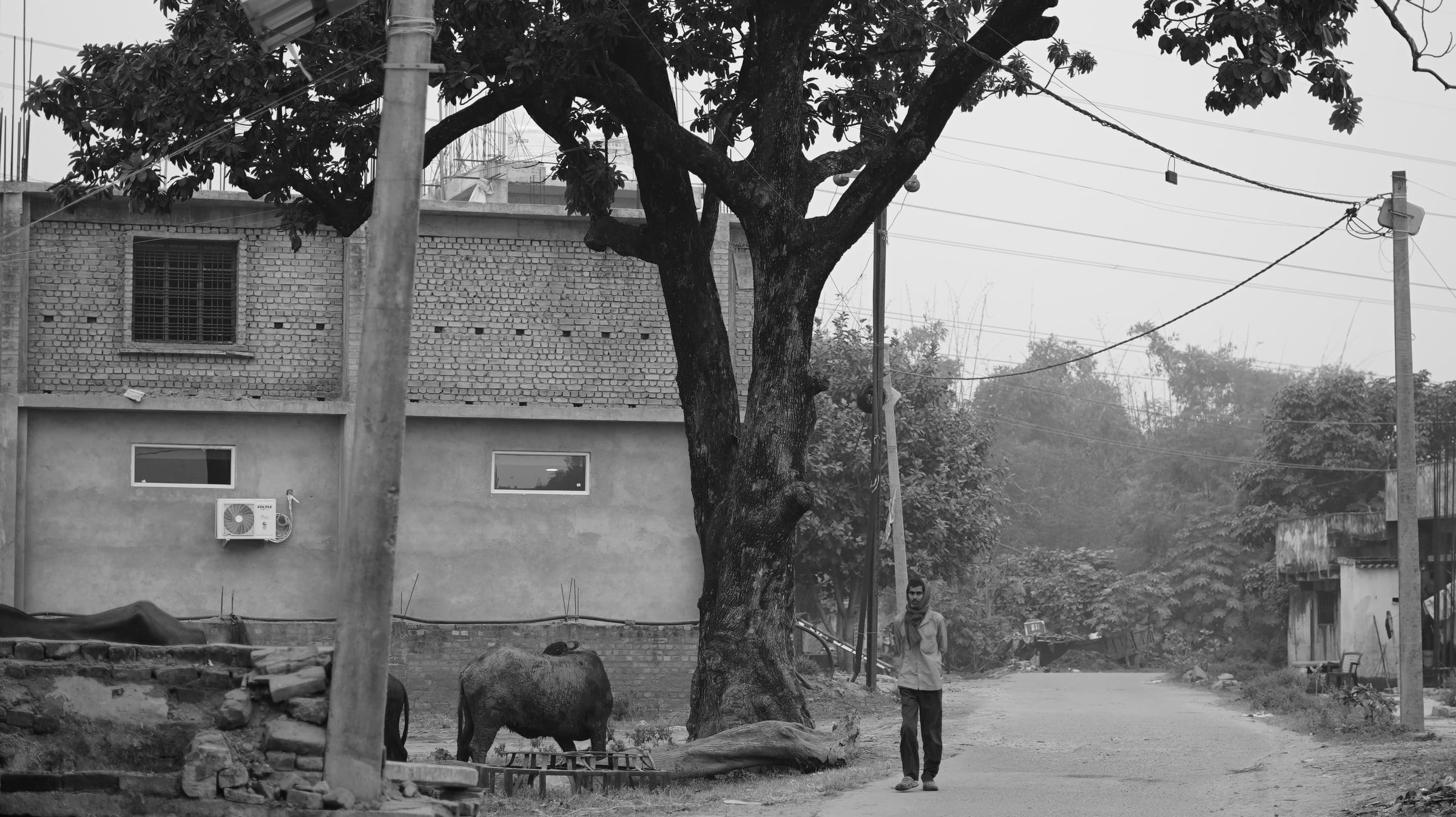 Capture :- Utkarsh 