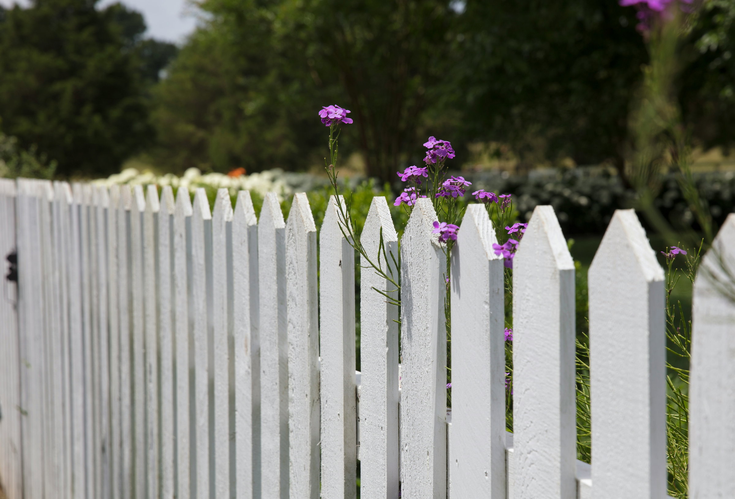 Modern Wooden Fence with Contemporary Style