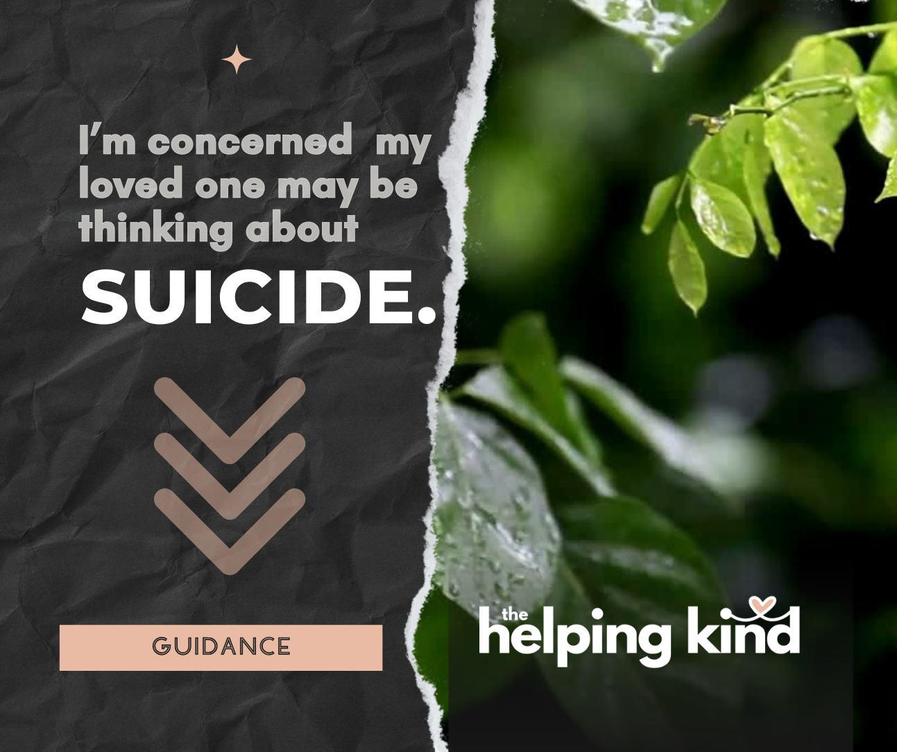 Concerned about suicide?