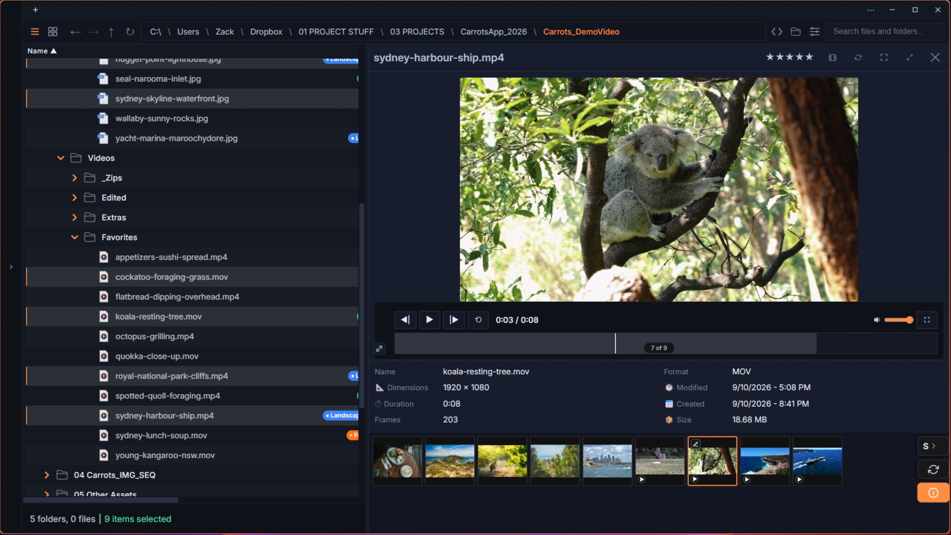 Carrots unified image and video Quick Preview