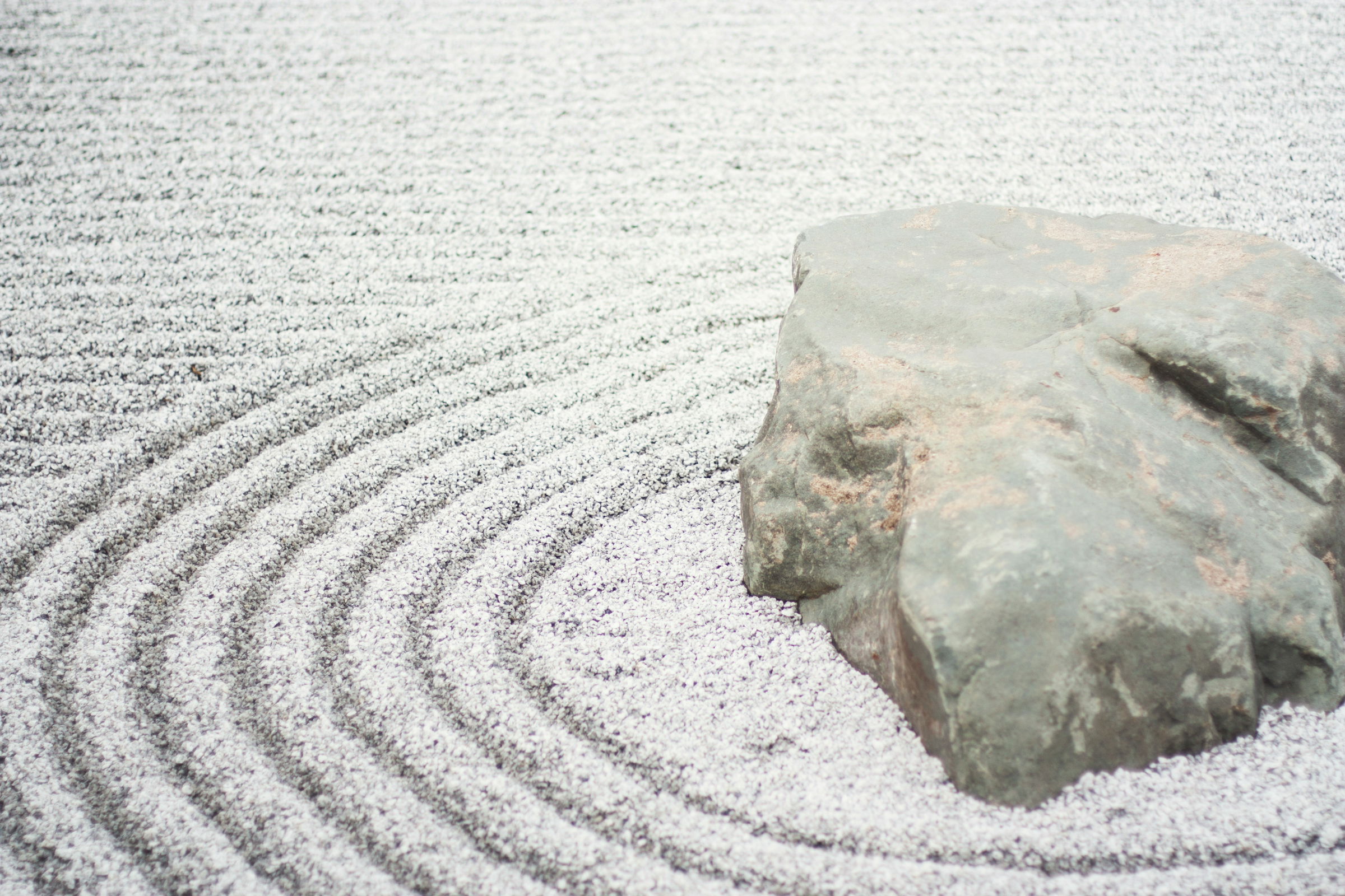 zen garden