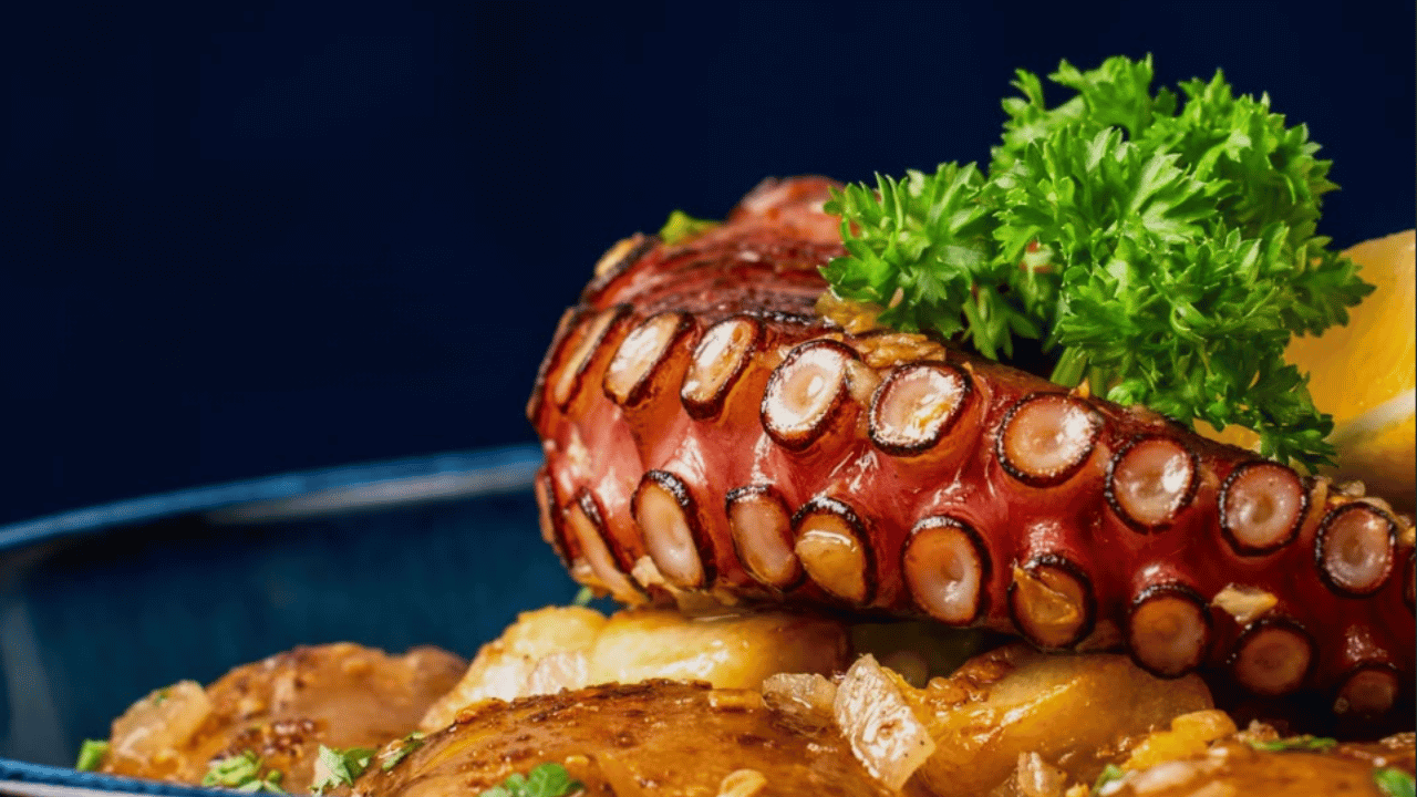 octopus dish from casinha
