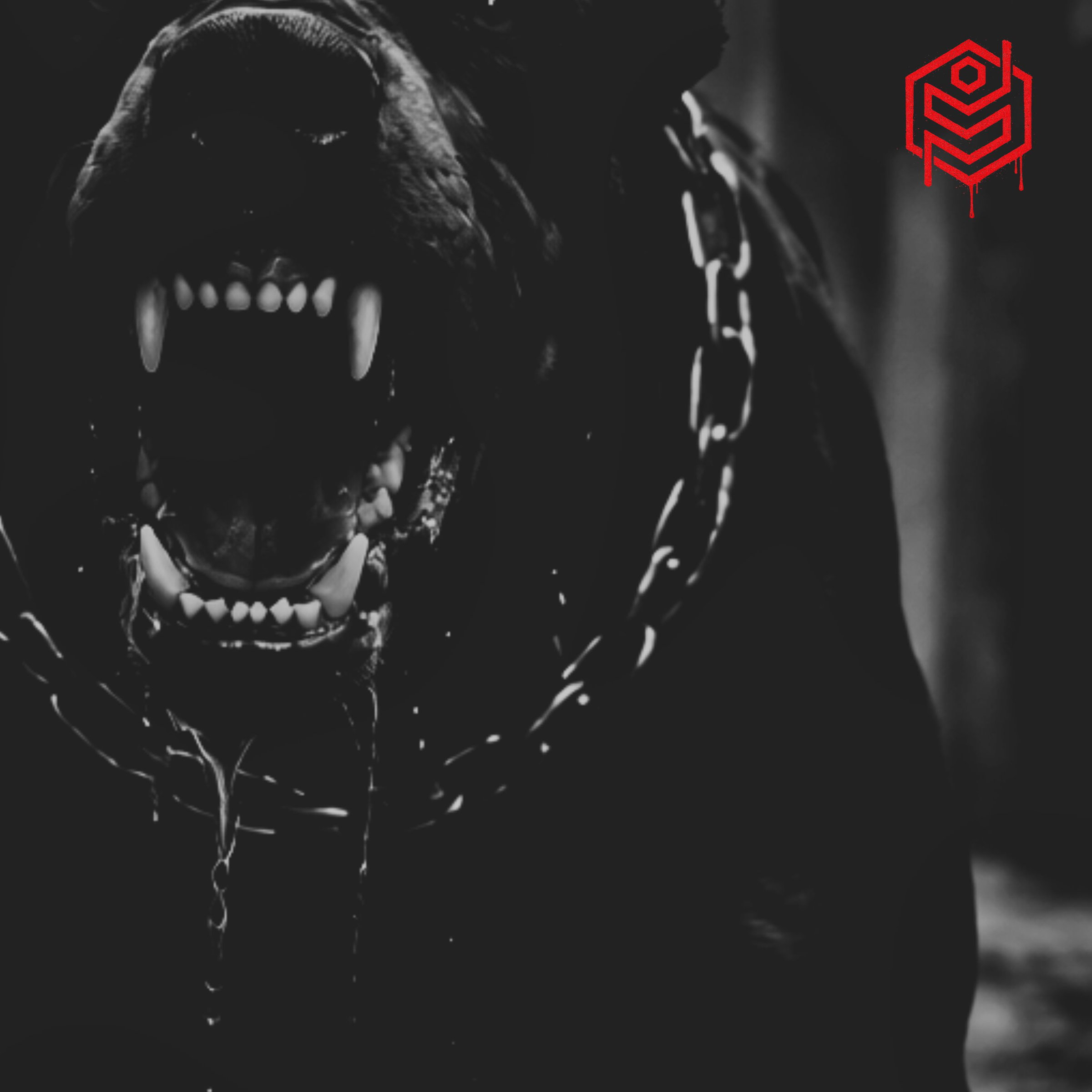 Image with Custom Link
