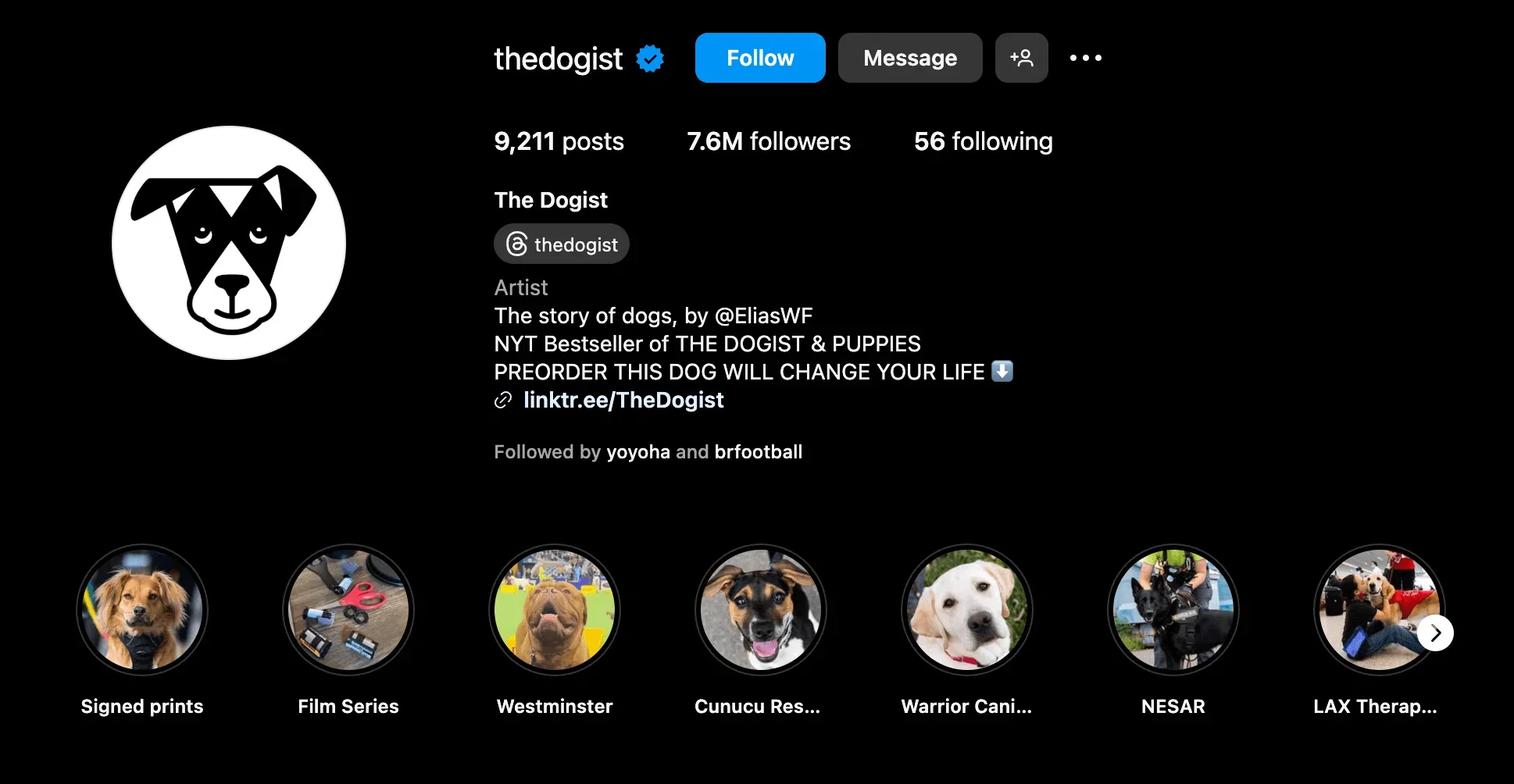 niche instagram profile example