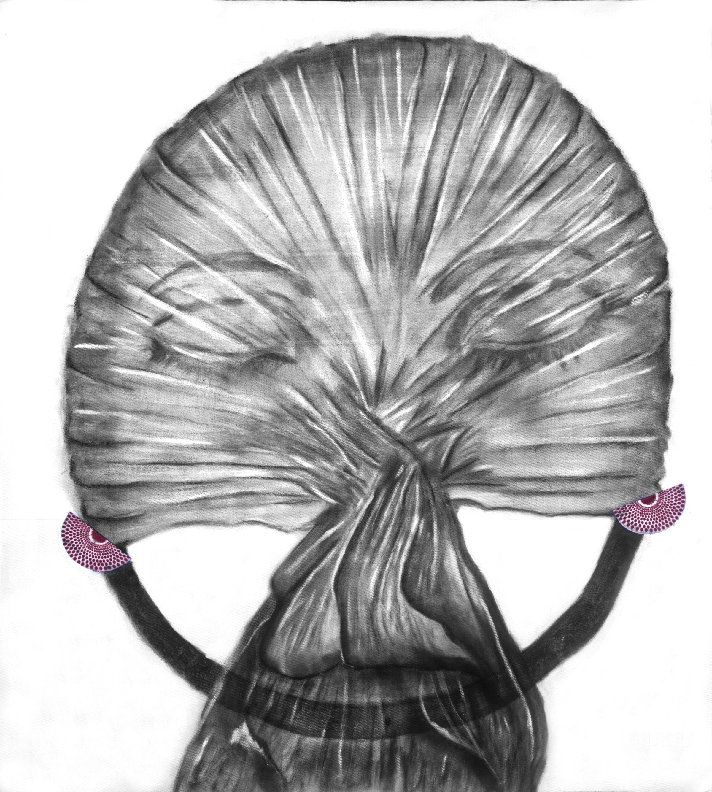 Illusioned by the Veil