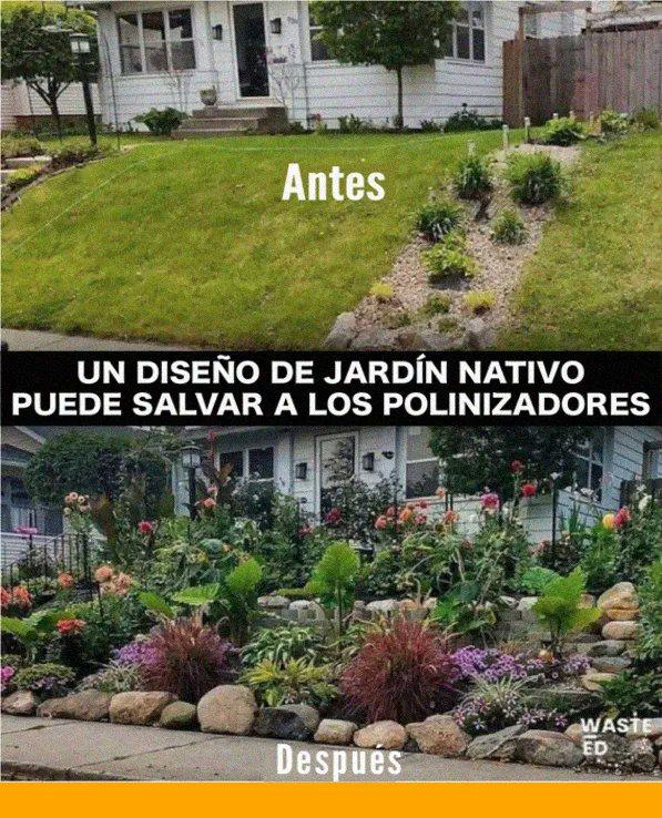 Educación ambiental con jóvenes