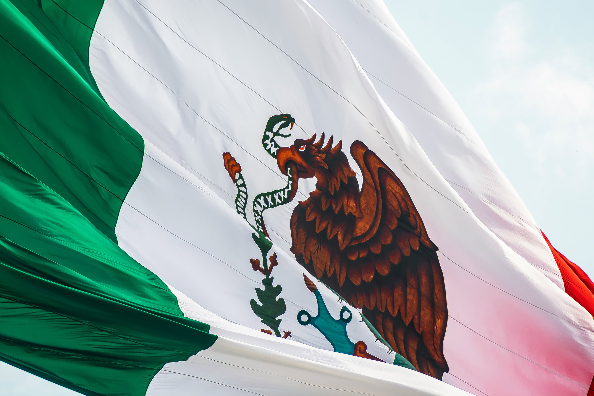 mexican professional immigration