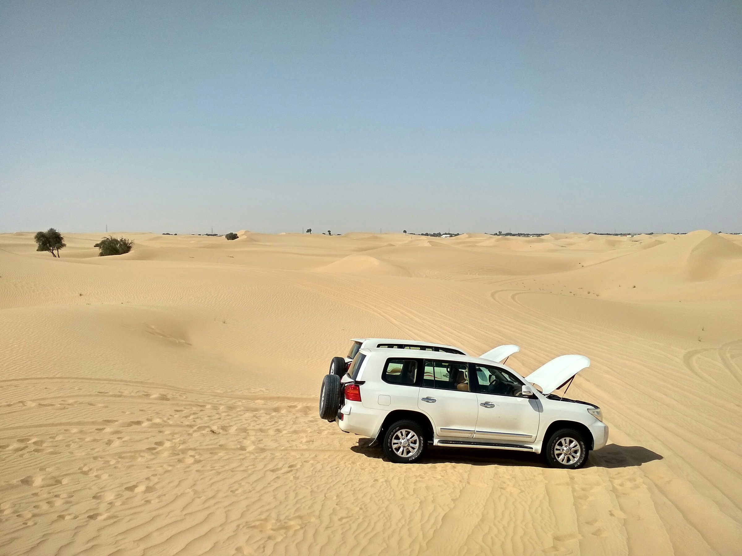 desert adventure