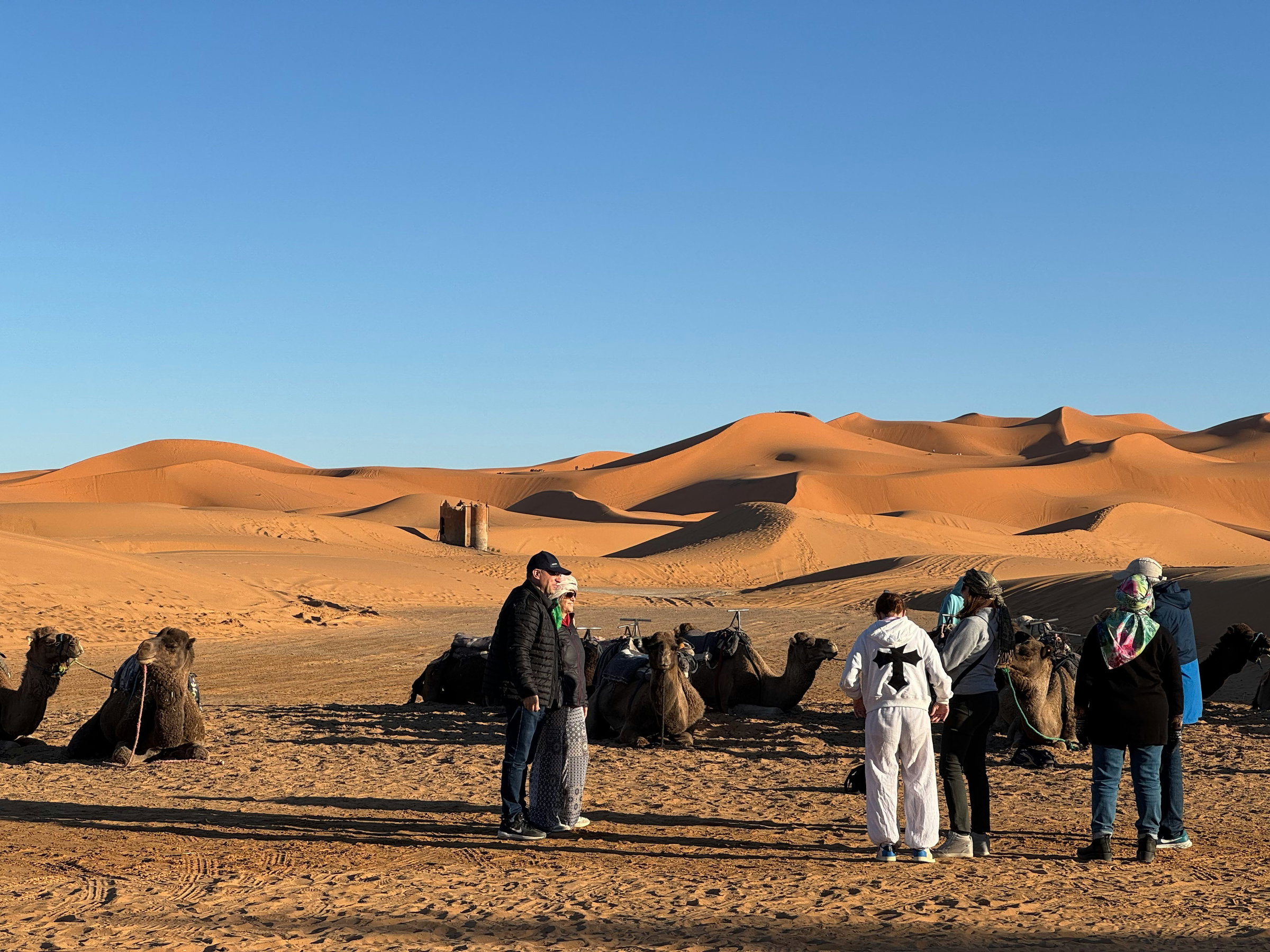 Starlit Desert Feast Experience