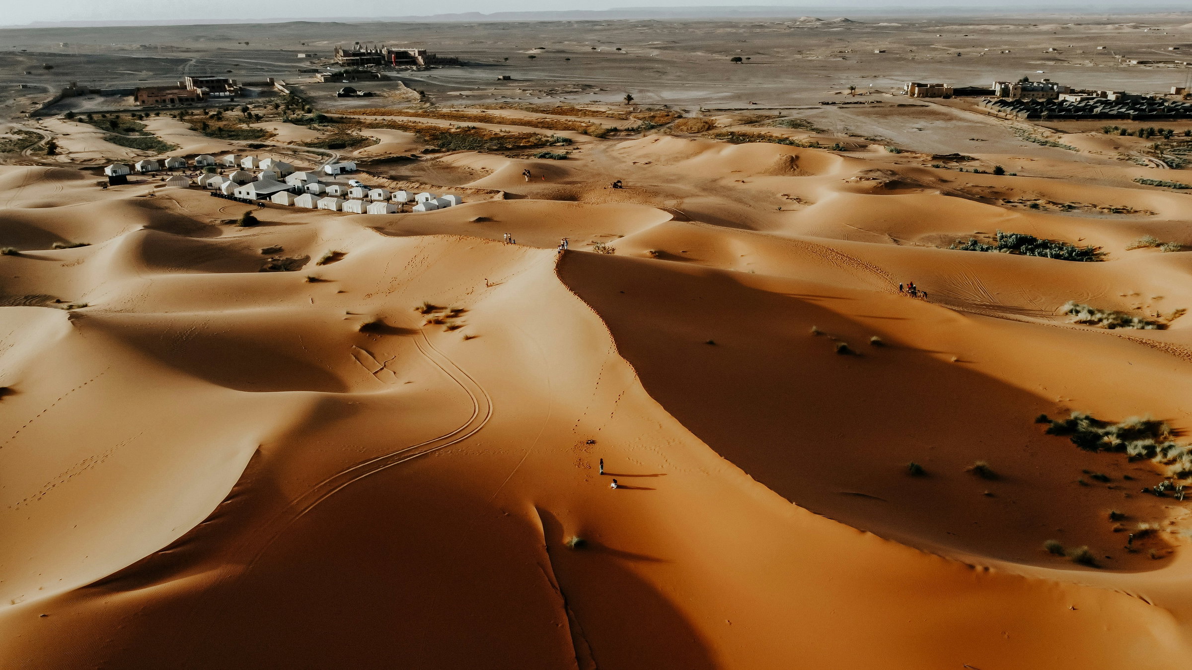 Camel Caravan Golden Dunes Crossing