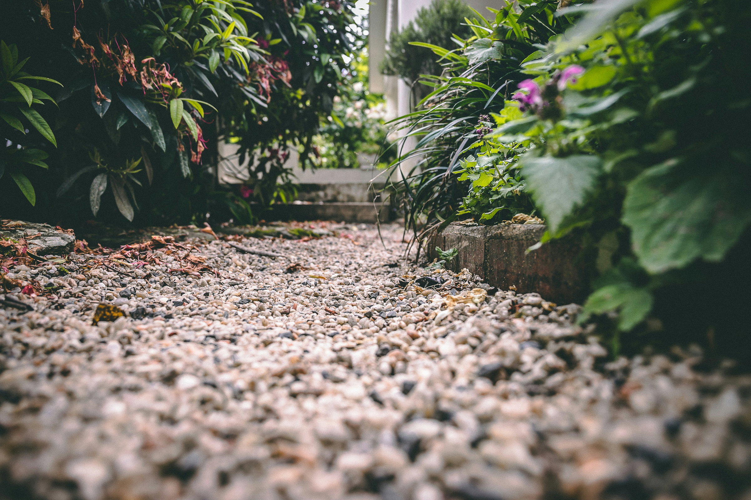 stone pathway