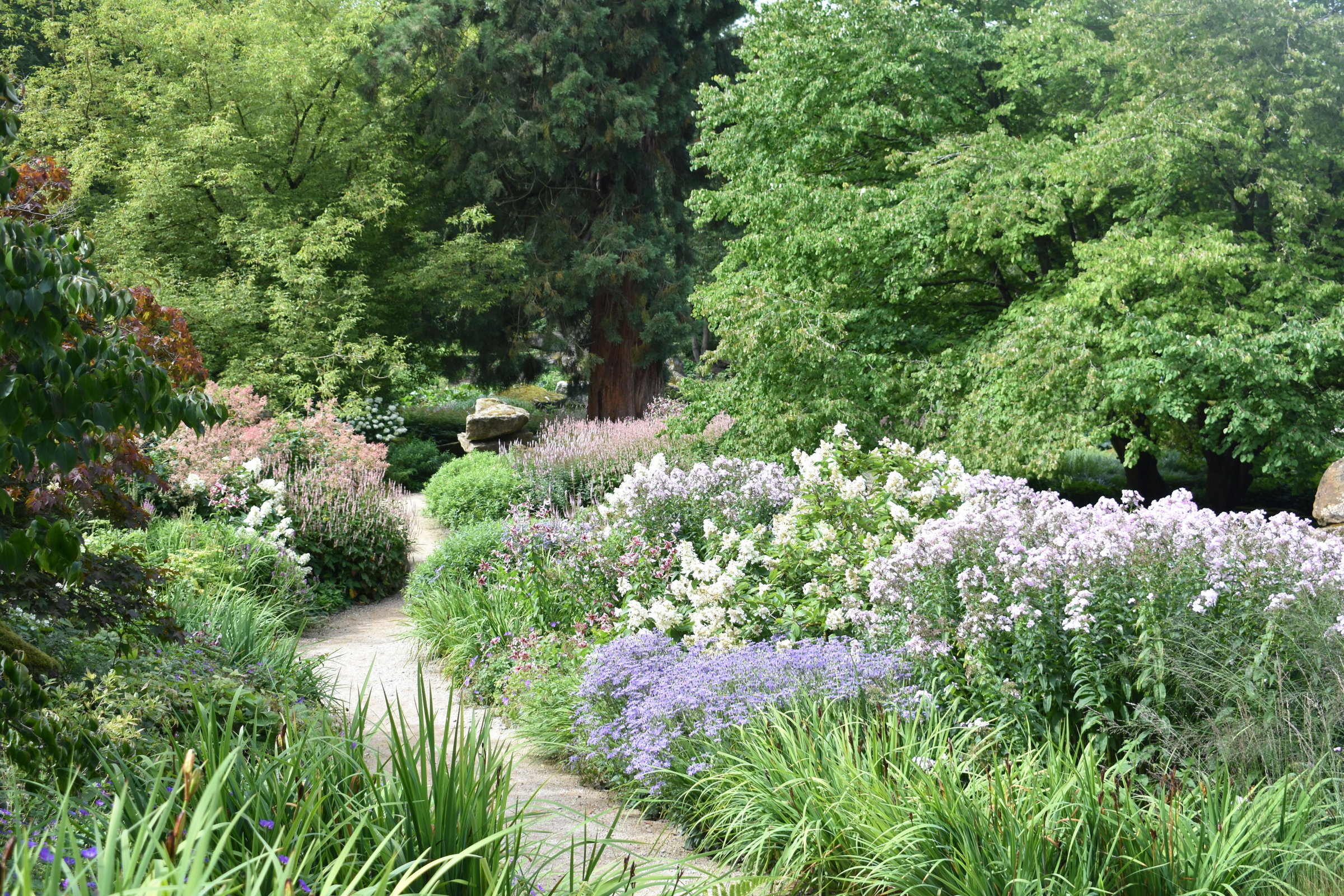 garden design