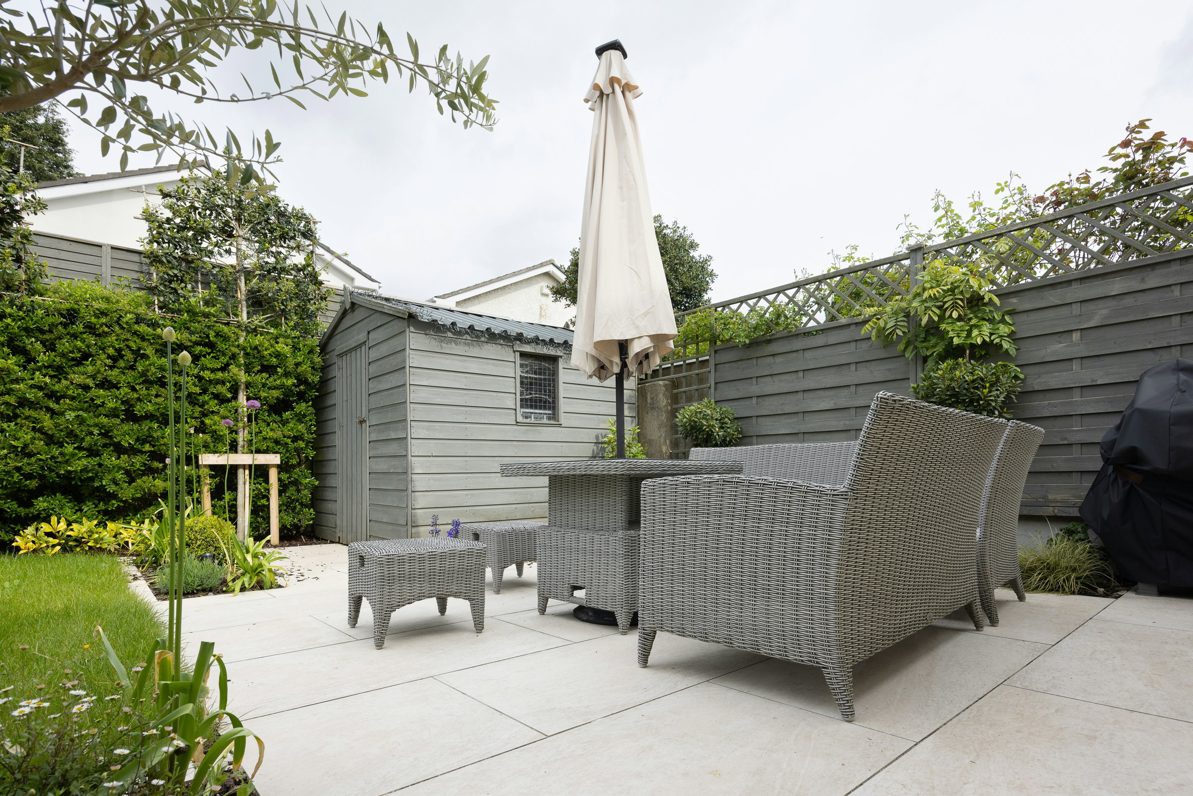 backyard transformation