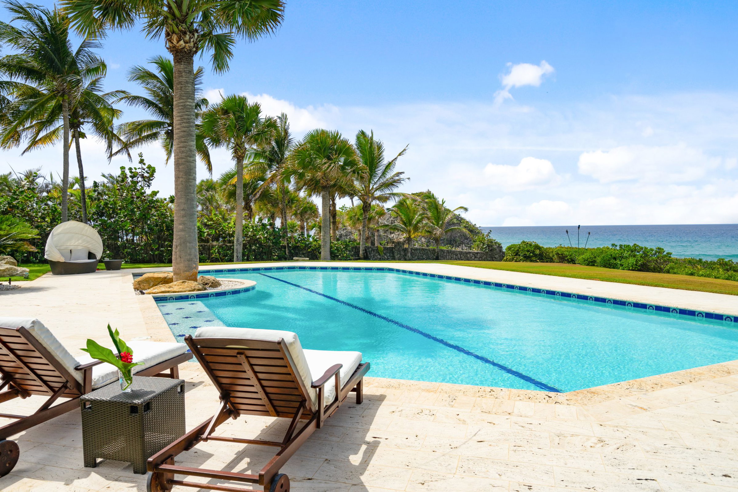 tropical investment