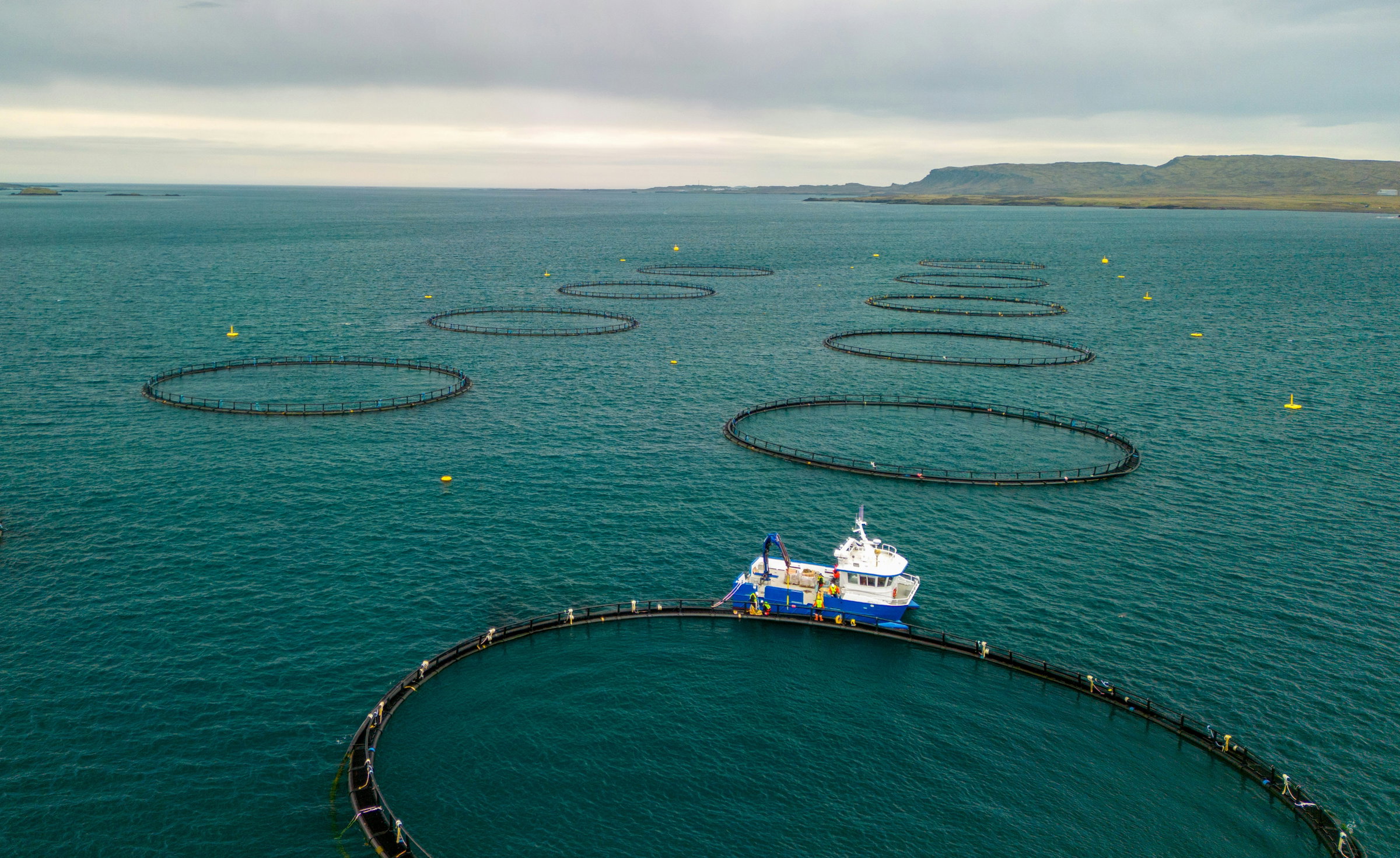 fish farming