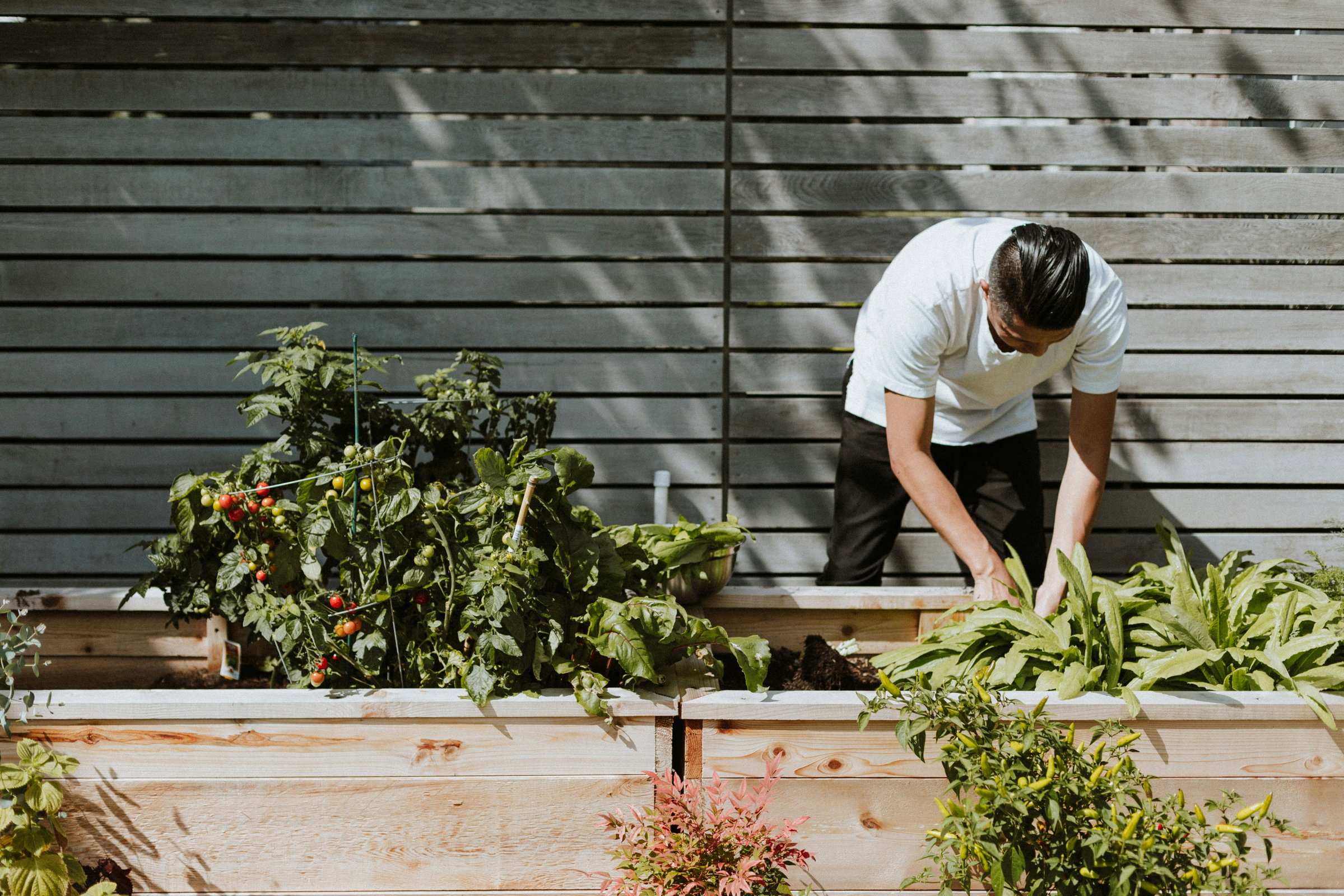 garden service