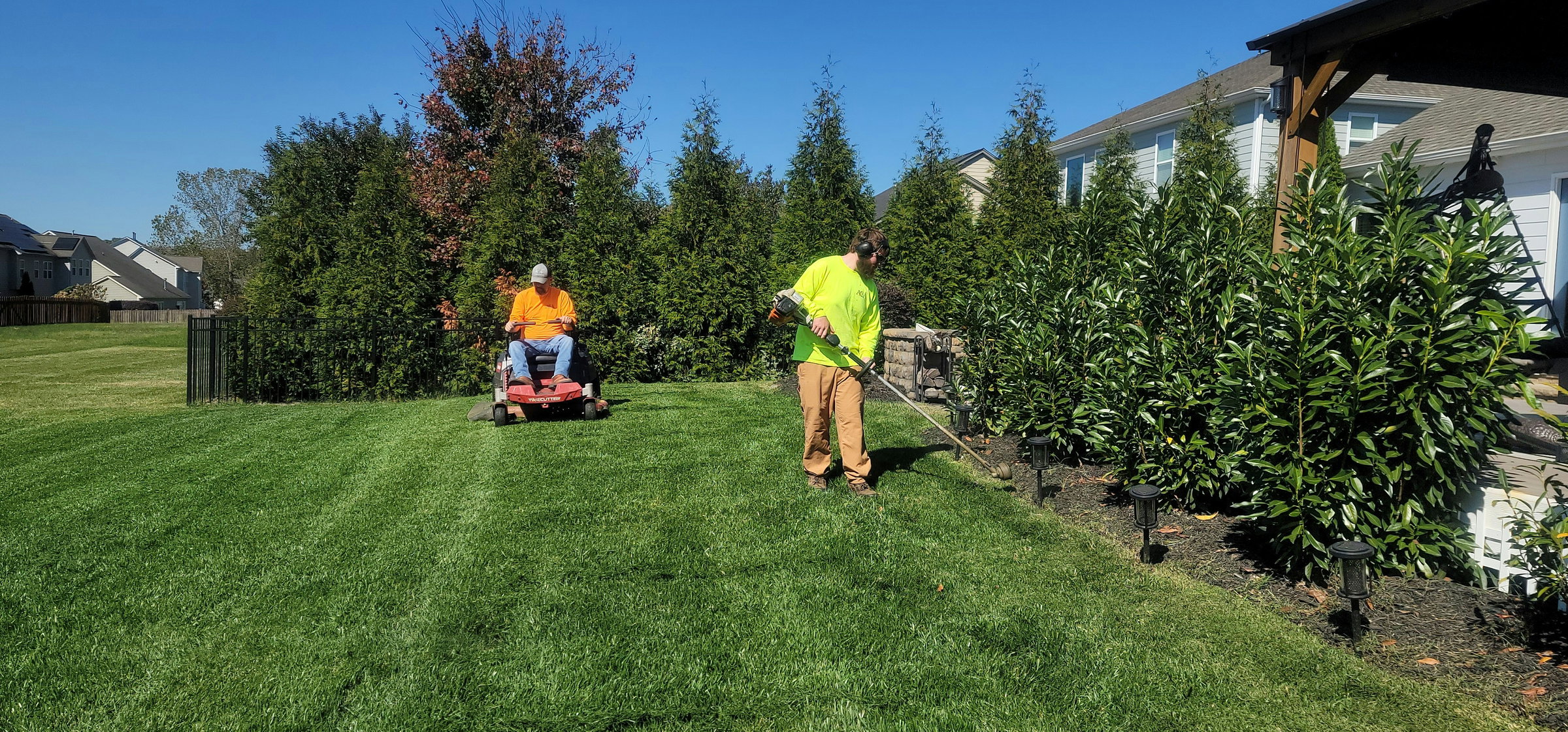 garden maintenance