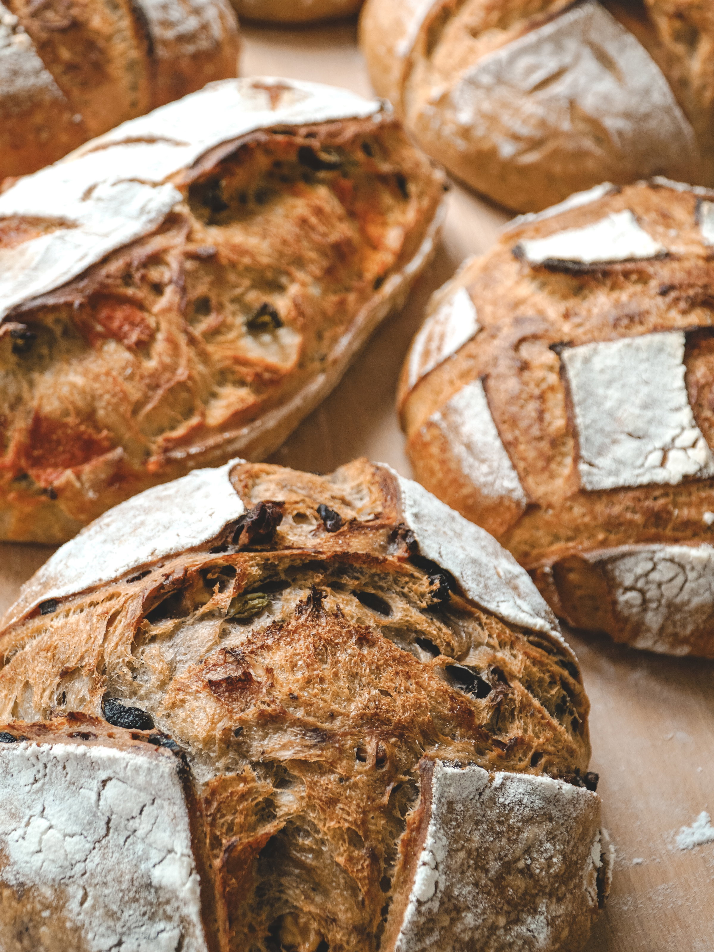 Fresh loaves after baking
