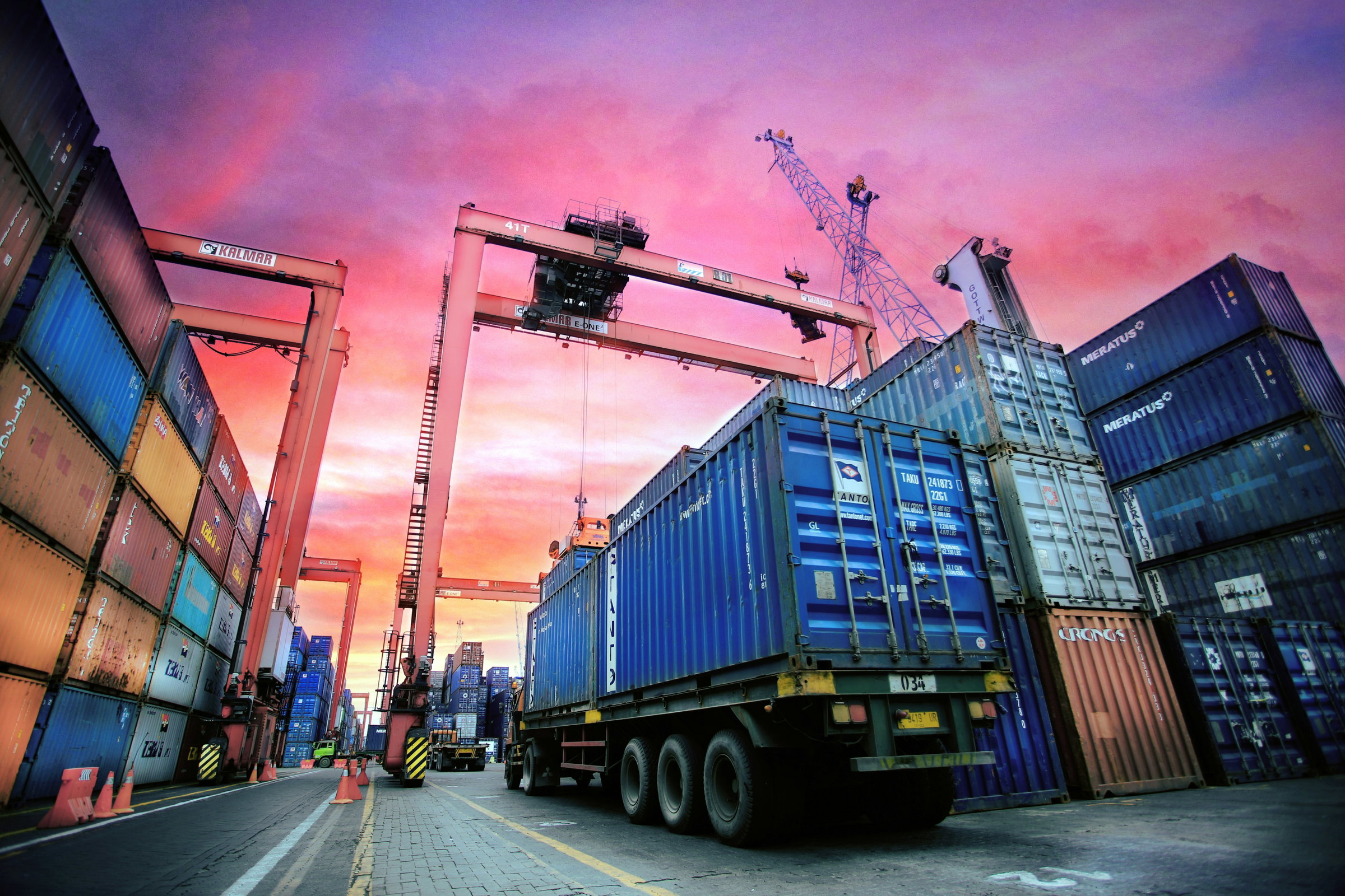 expat services