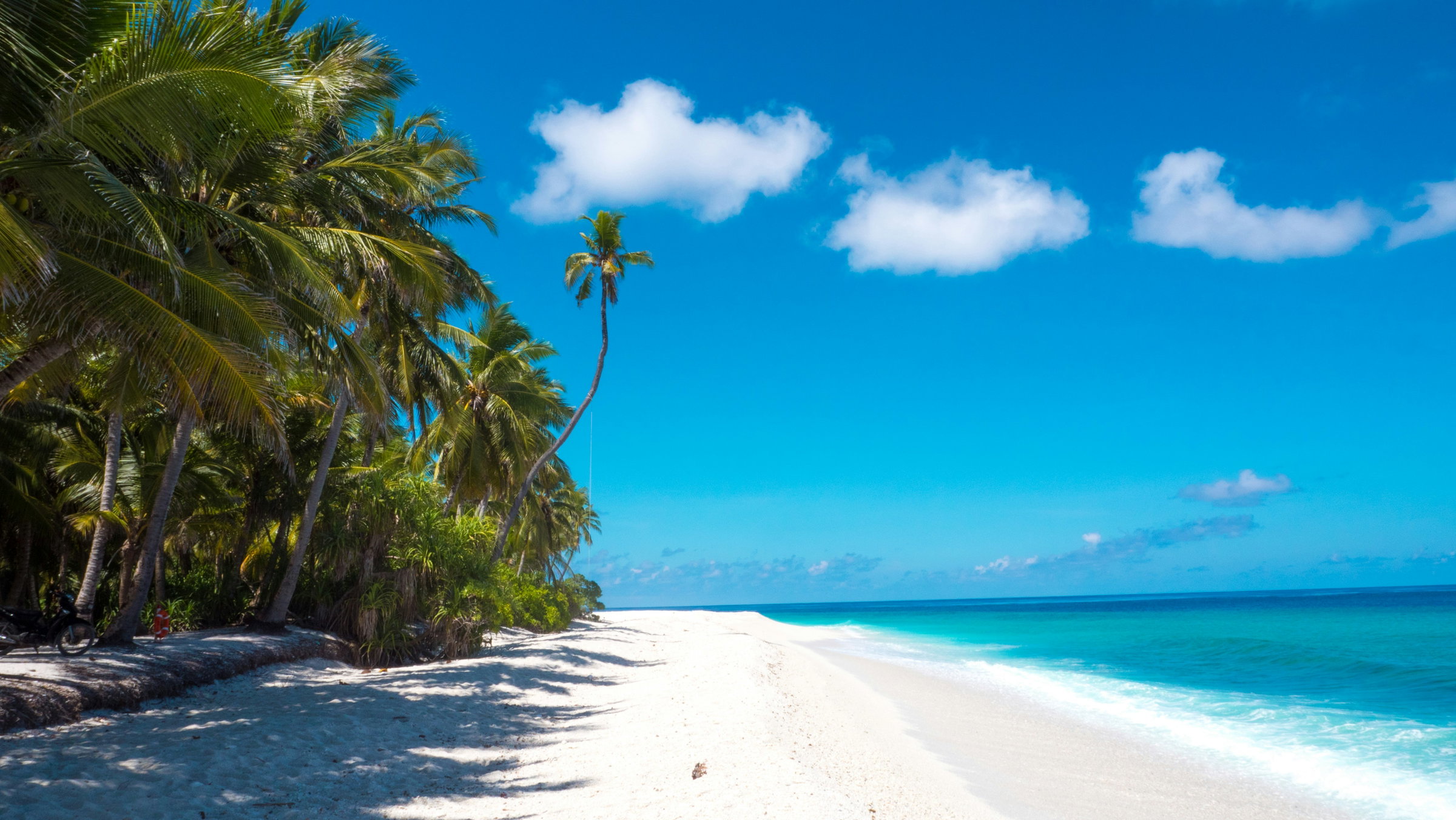 tropical paradise
