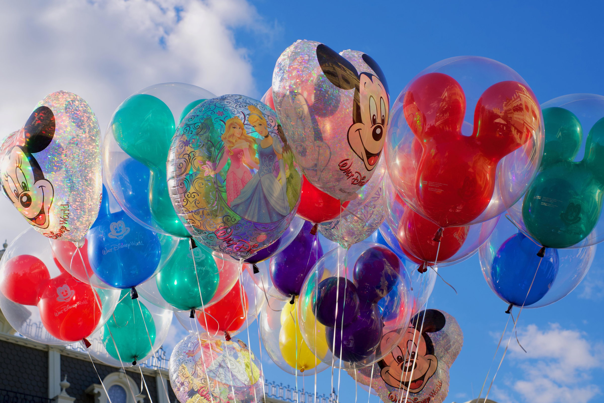 disney world