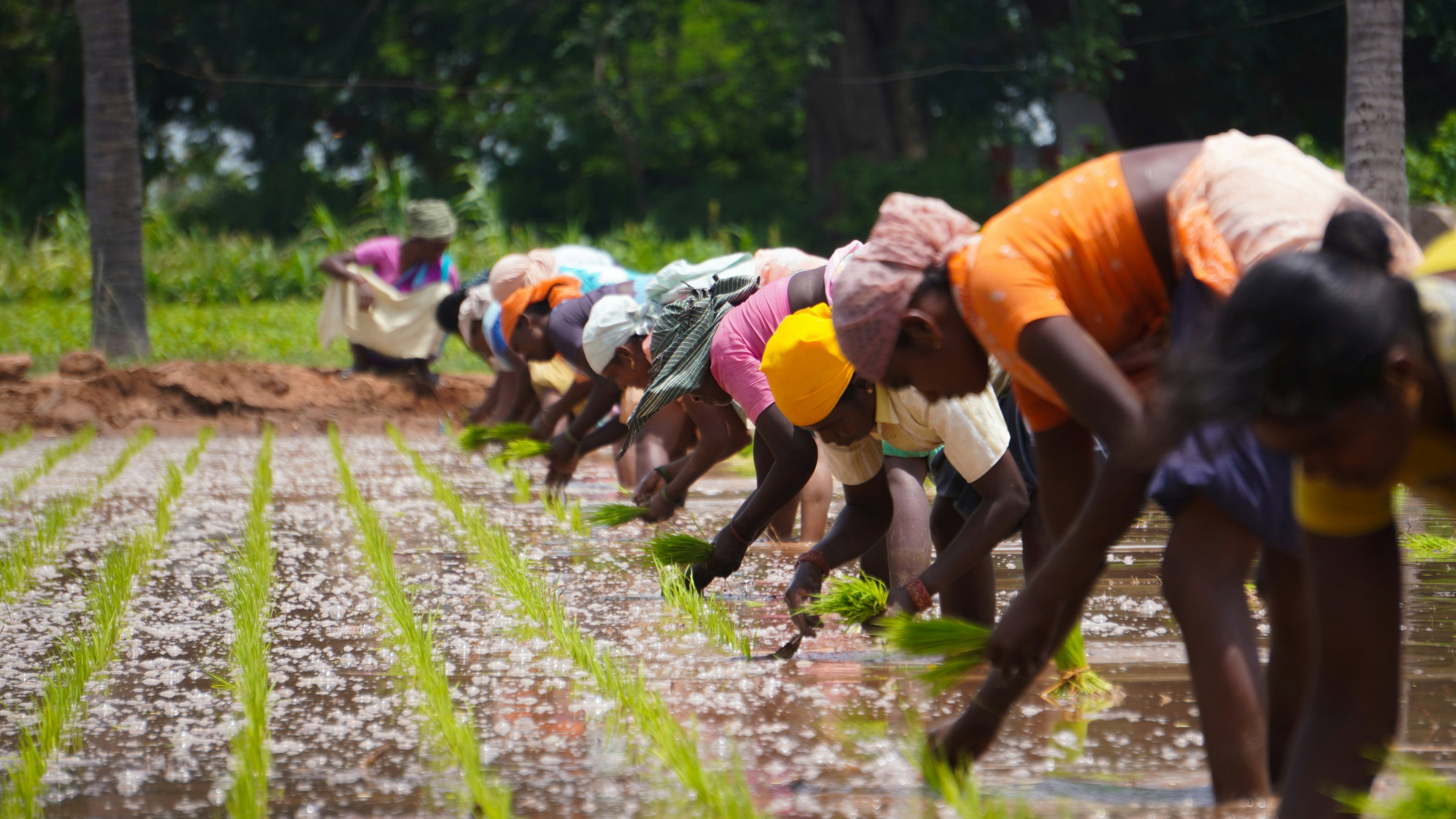 women farmers