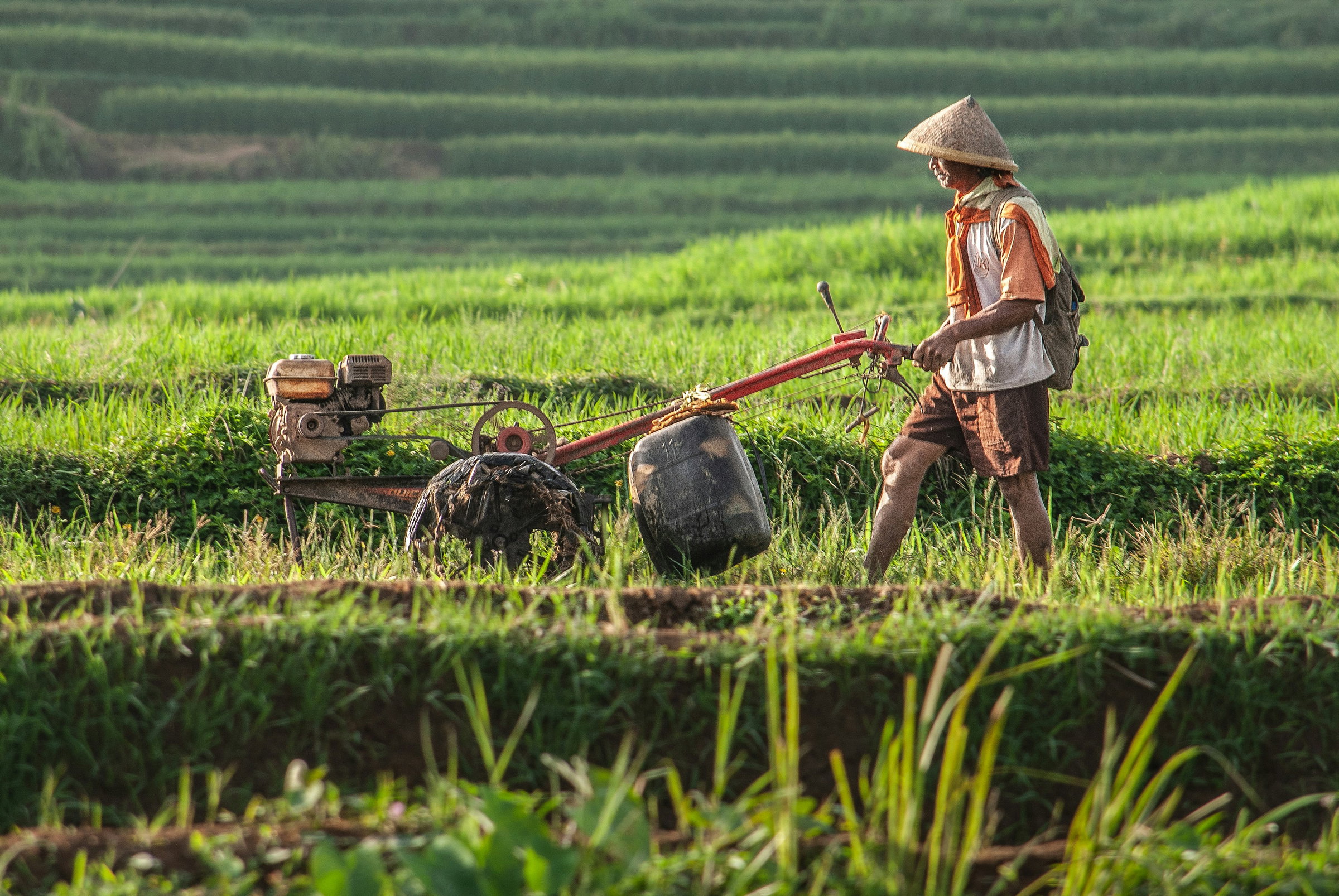farmer processing