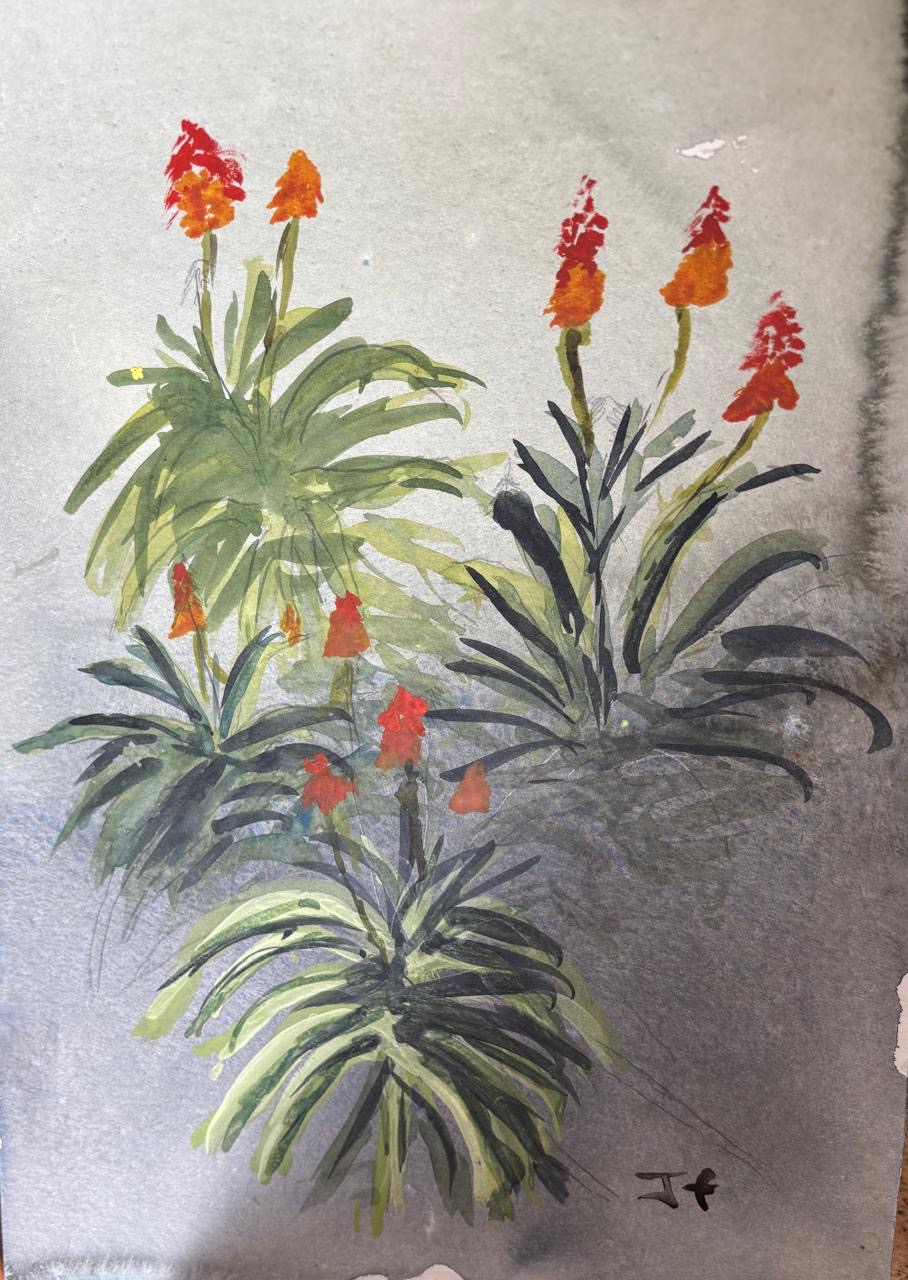 Jean Faure - Aloes