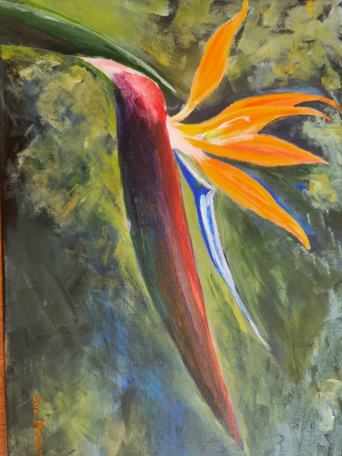 Sue Parry Stralizia