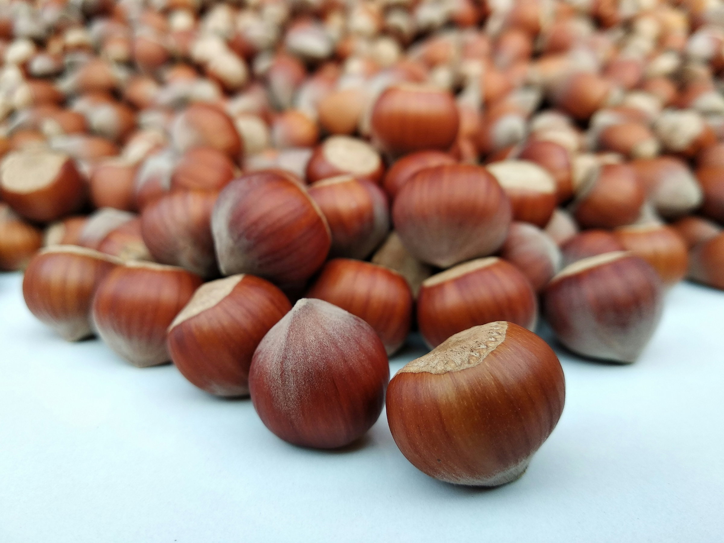 hazelnut cream
