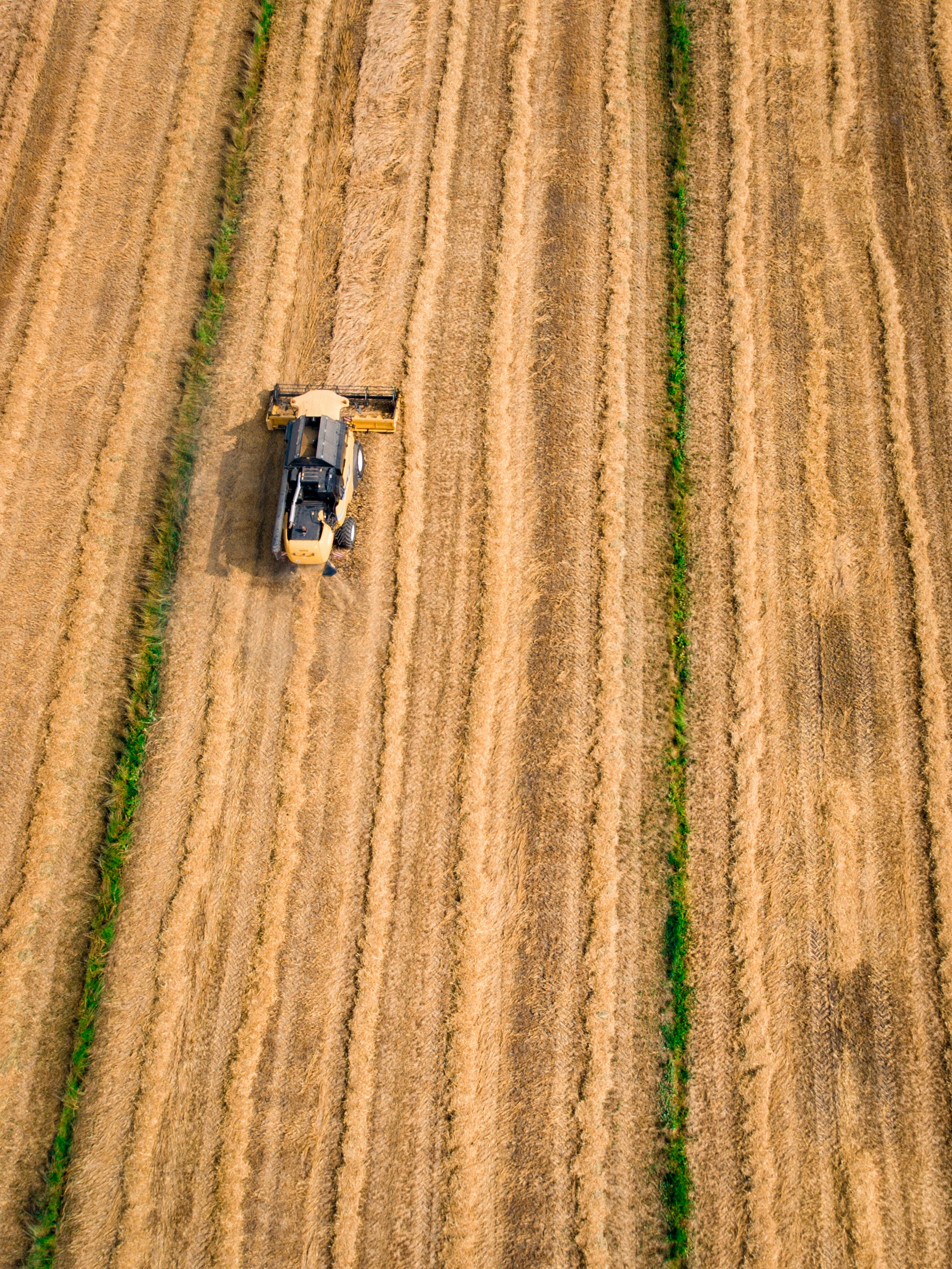 agricultural consulting