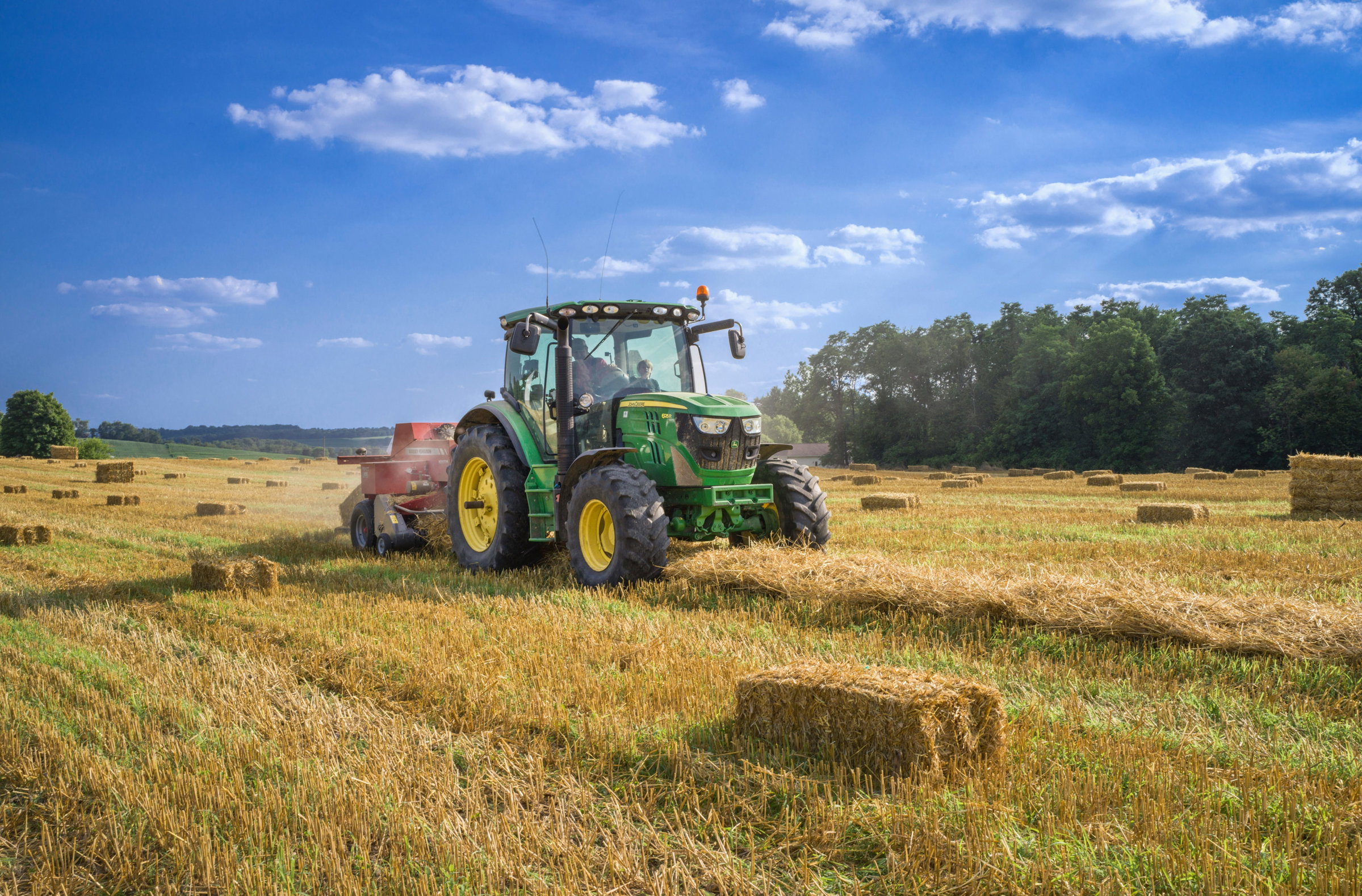 agricultural consulting
