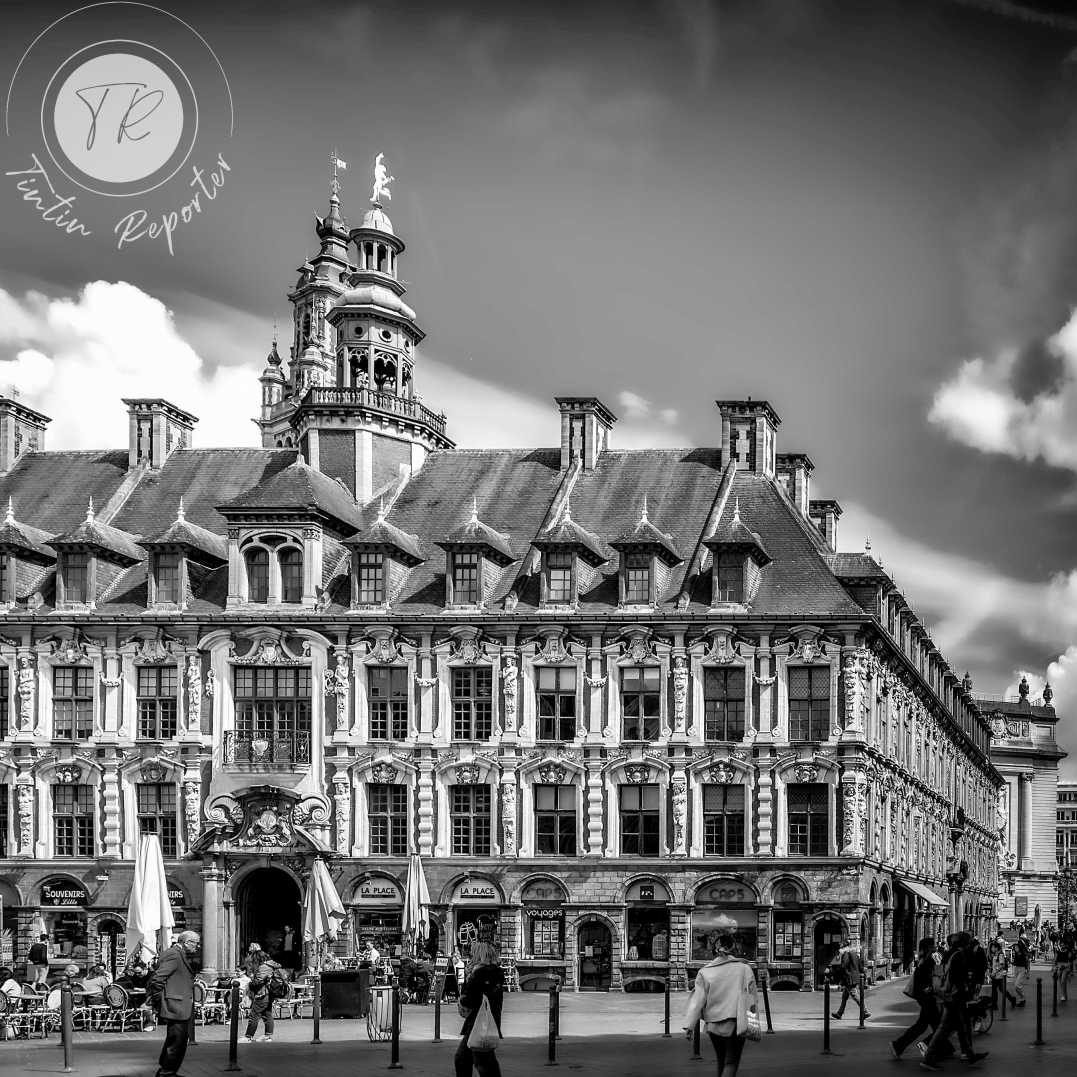 La vielle bourse, l'histoire de Lille