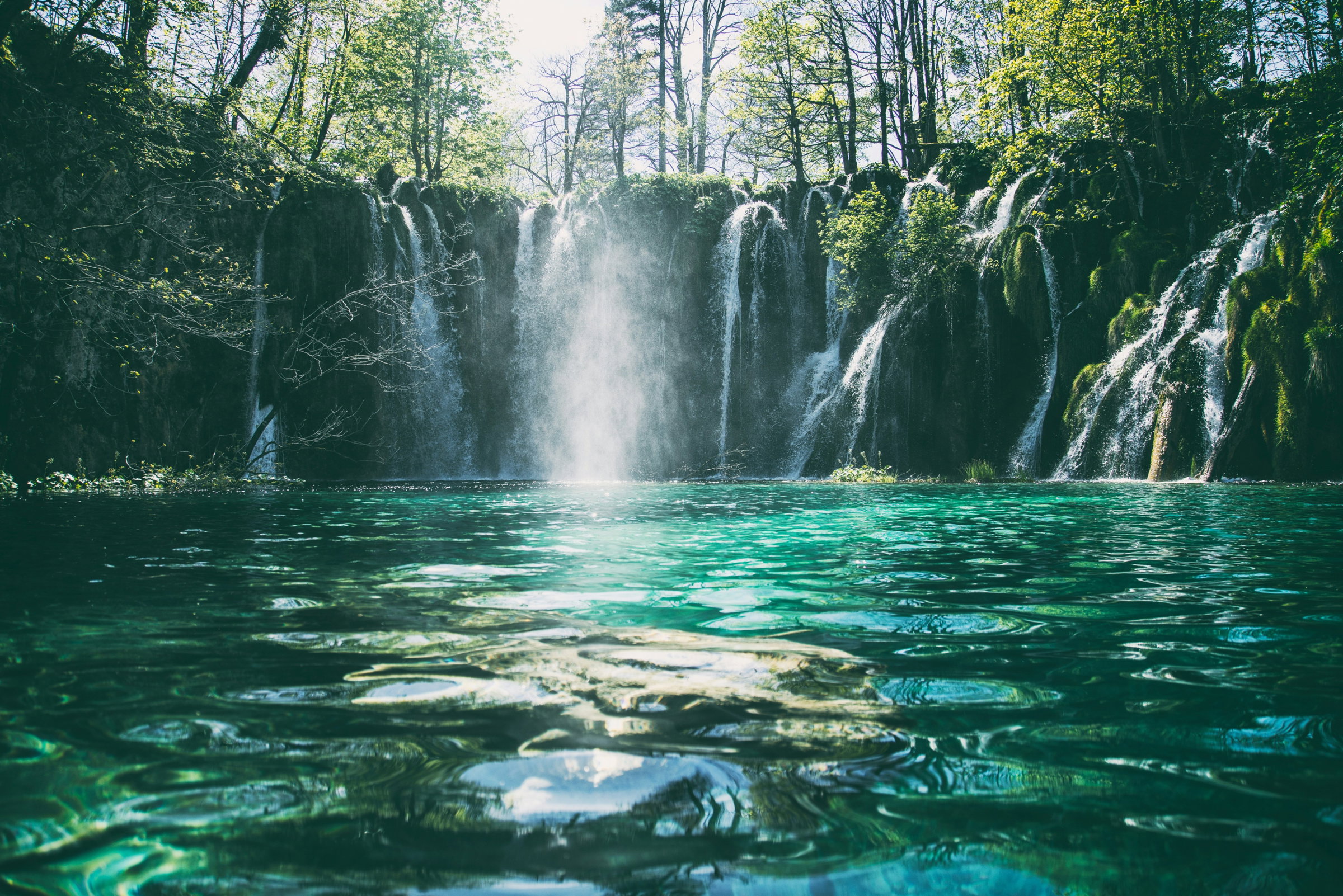 waterfall forest
