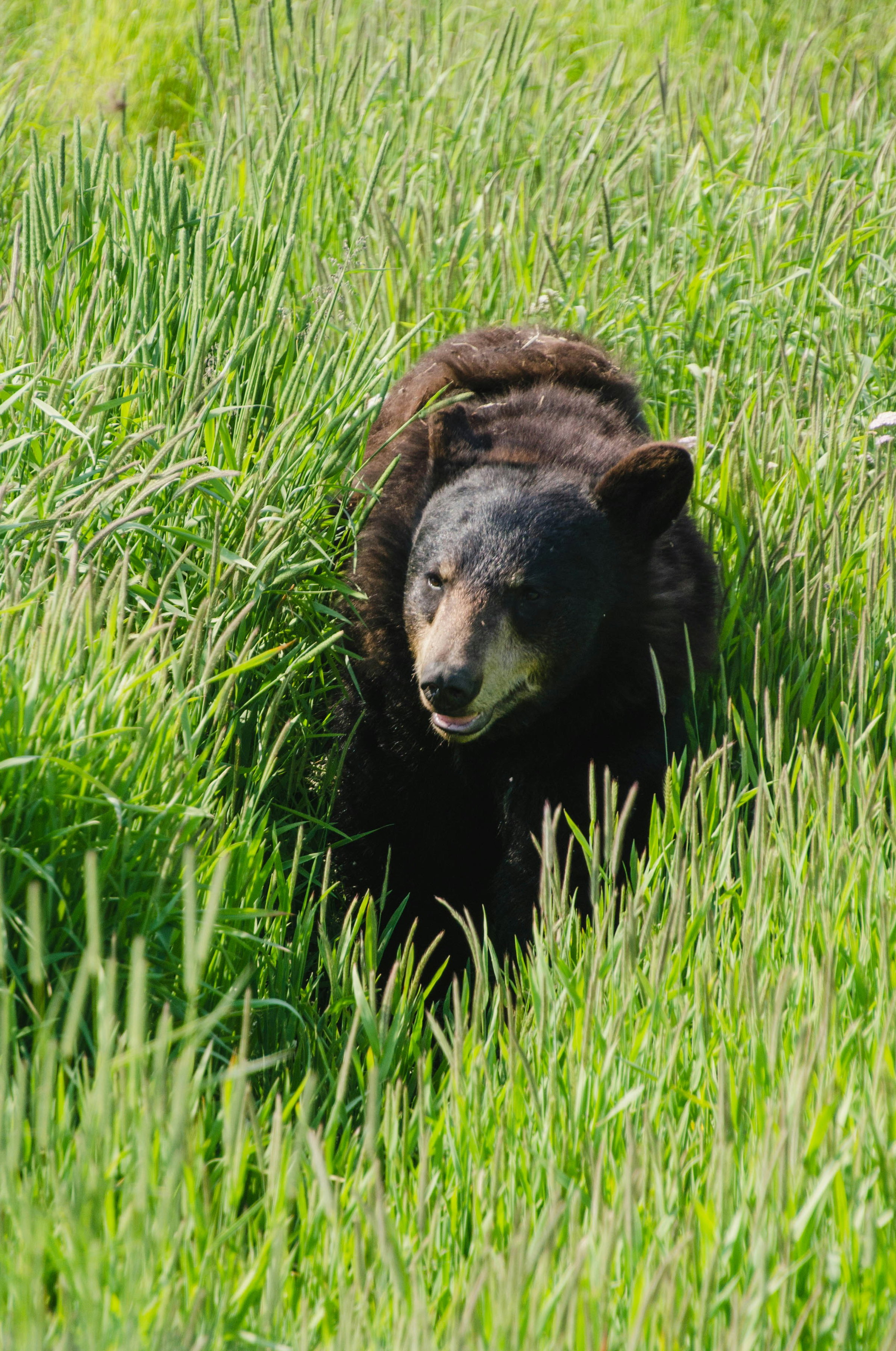 wildlife sanctuary