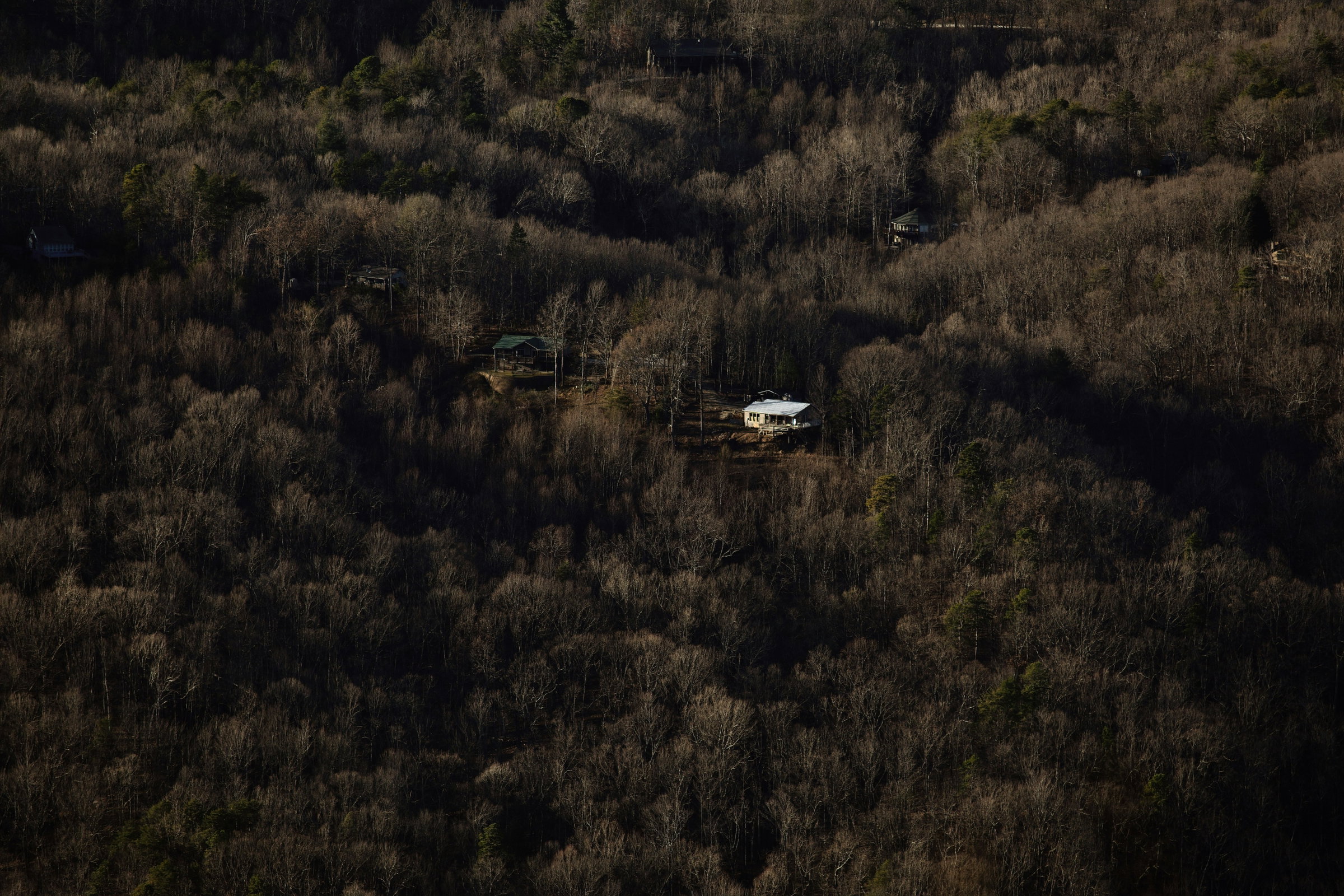 forest retreat