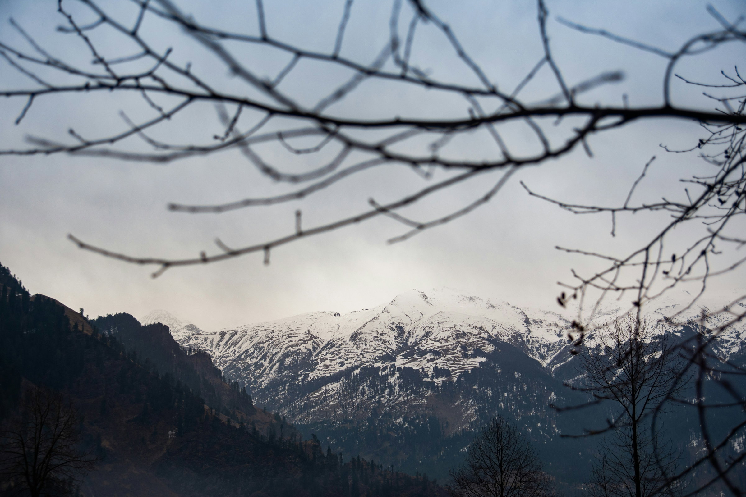 mountain homestay