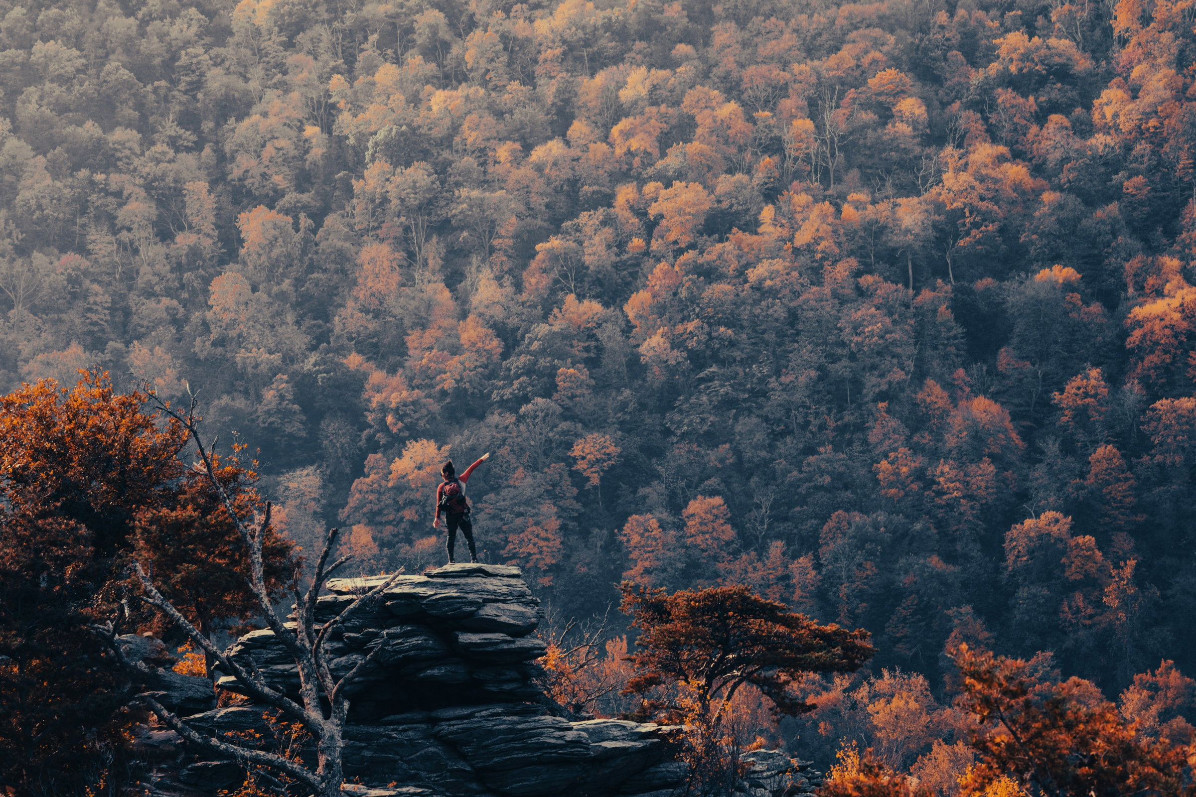 mountain vista